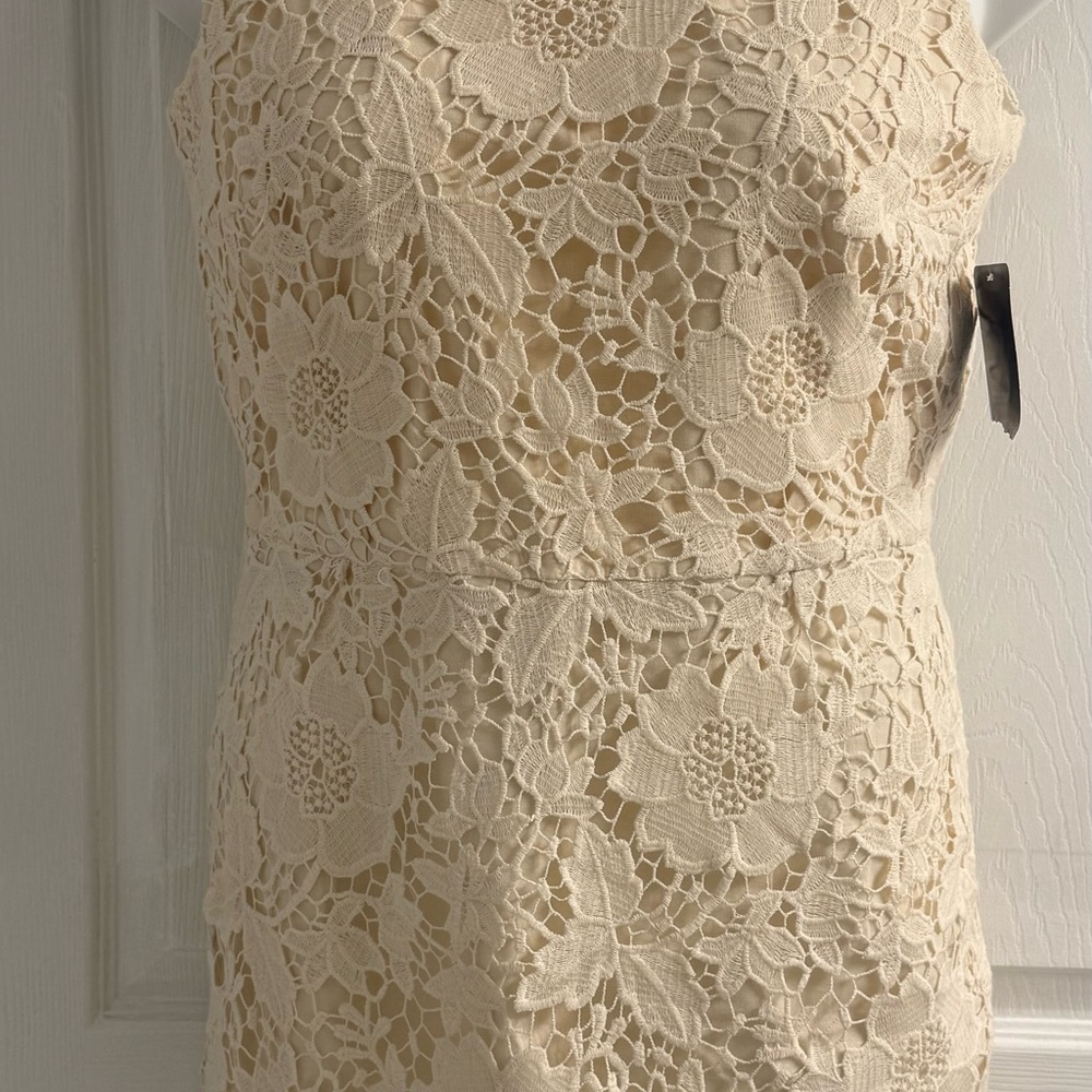 Zara Cream Floral Lace Dress